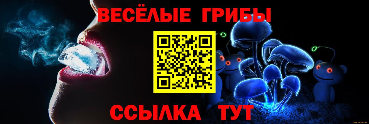 Псилоцибиновые грибы Magic Shrooms  Вход с VPN  Псилоцибиновые грибы MAGIC MUSHROOMS  Ревда 